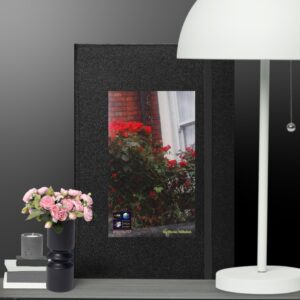 Red in the green. Loria Hilahm's Collection Notebooks.